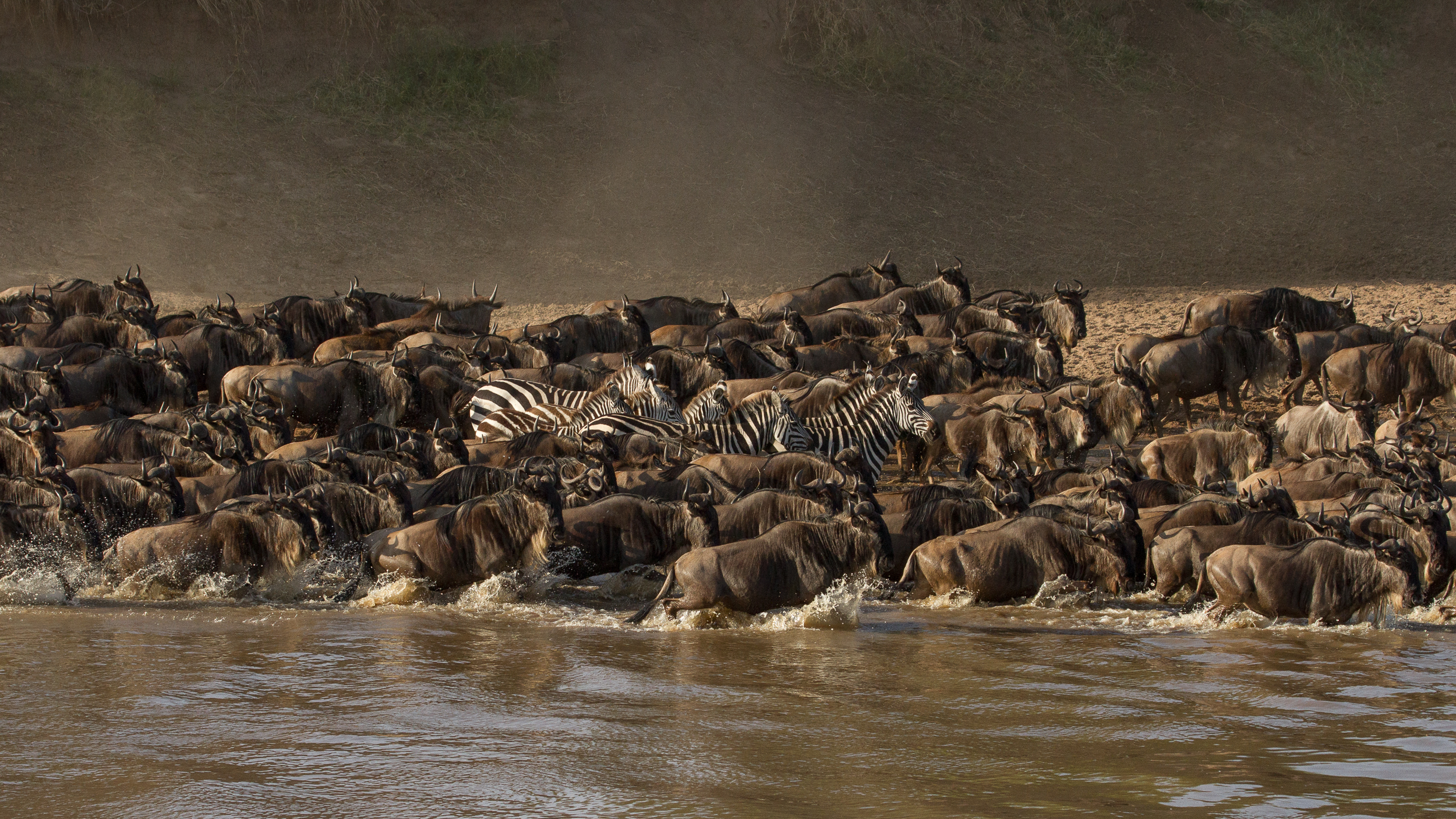 17-Day Wildlife Safari with Chimps and Beaches